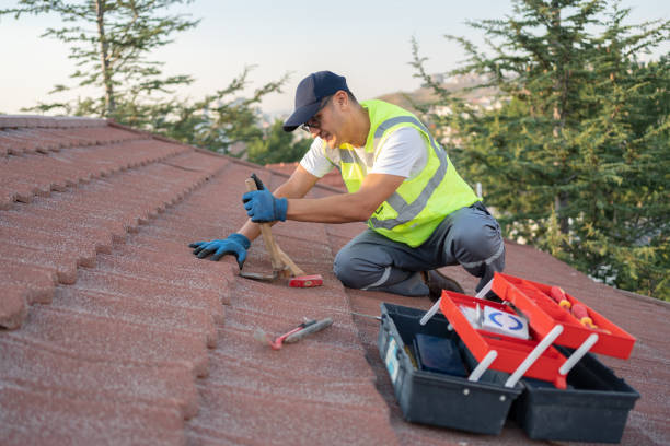 Best Roof Leak Repair  in Mickleton, NJ